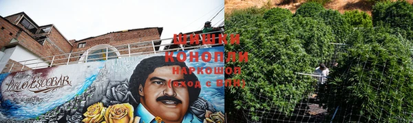 эйфоретик Долгопрудный