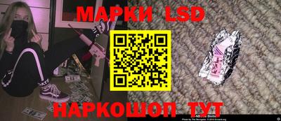 прущие грибы Апшеронск