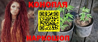 эйфоретик Кинель