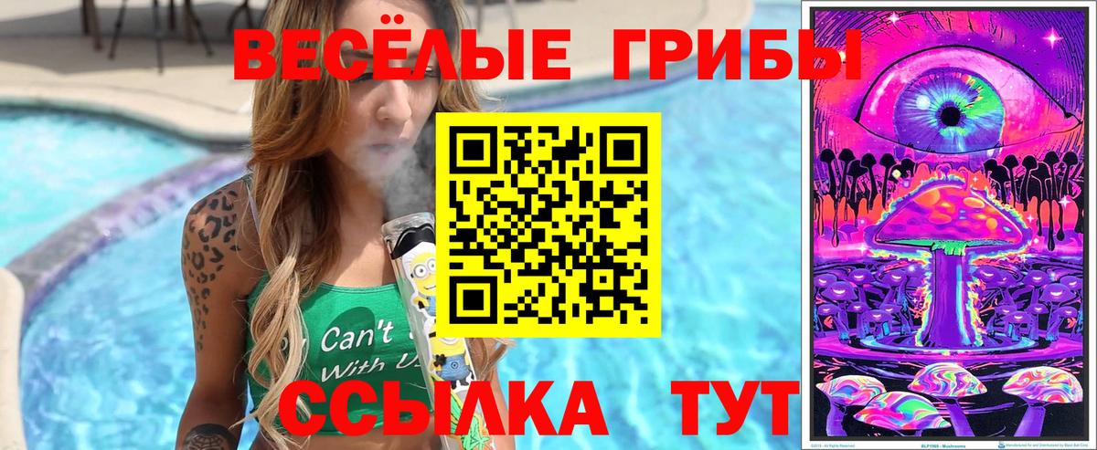Галлюциногенные грибы мухоморы Лабытнанги